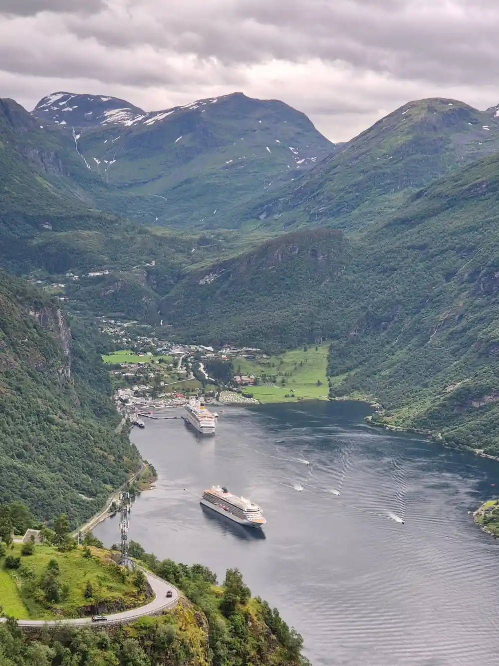 Cruise ships in wide fjord with forested valley below