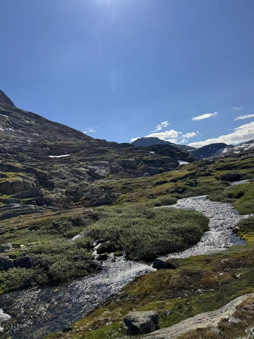 Mountain stream flowing through alpine meadow and bare rock
