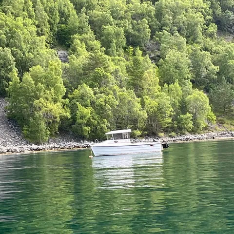 White boat on green fjord water below wooded slopes